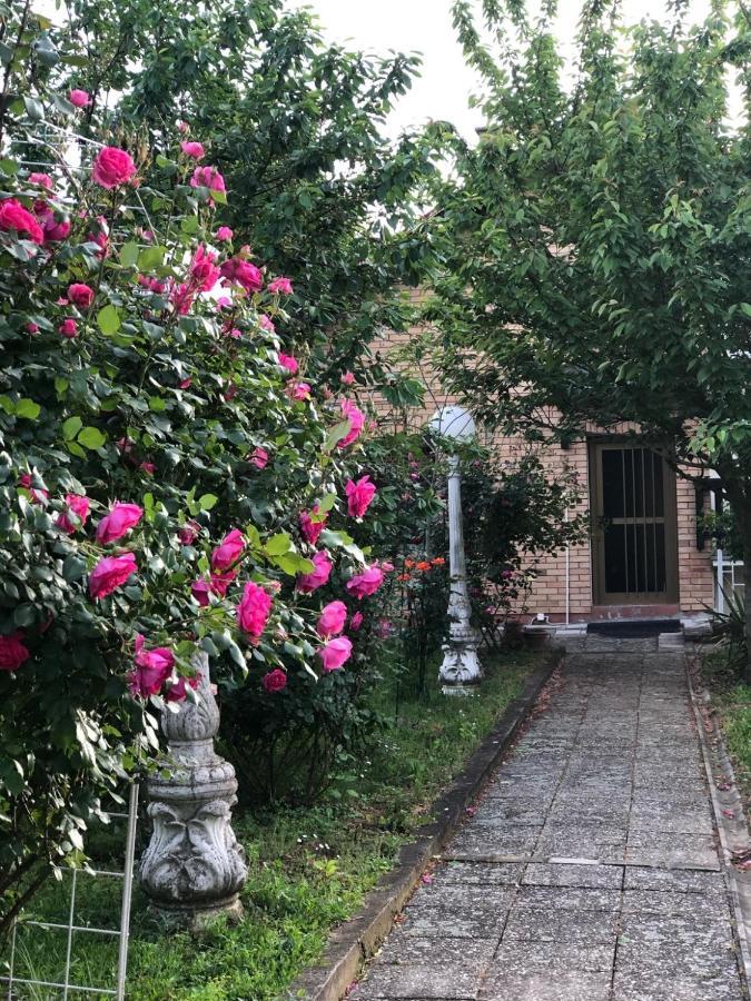 Villa Elita - Bela Crkva Бела-Црква Екстер'єр фото