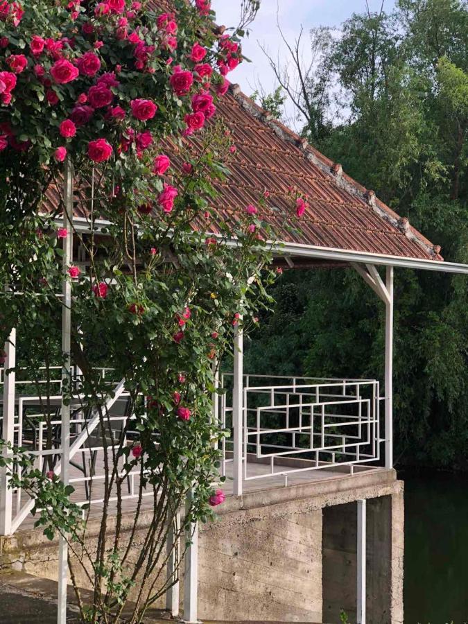 Villa Elita - Bela Crkva Бела-Црква Екстер'єр фото